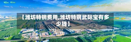 【潍坊特钢费用,潍坊特钢武际宝有多少钱】