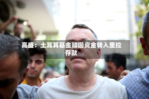 高盛：土耳其基金赎回资金转入里拉存款-第2张图片