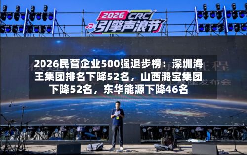 2026民营企业500强退步榜：深圳海王集团排名下降52名，山西潞宝集团下降52名，东华能源下降46名-第2张图片