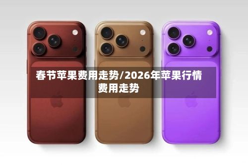 春节苹果费用走势/2026年苹果行情费用走势-第2张图片
