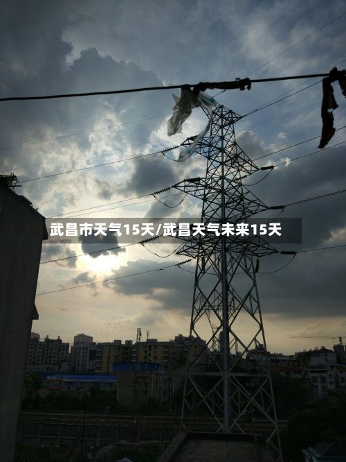 武昌市天气15天/武昌天气未来15天-第3张图片