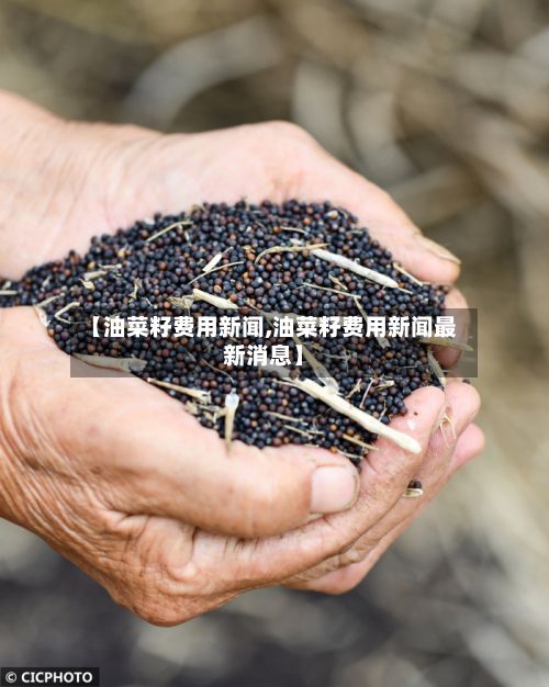 【油菜籽费用新闻,油菜籽费用新闻最新消息】-第2张图片
