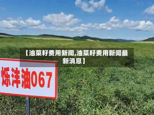 【油菜籽费用新闻,油菜籽费用新闻最新消息】
