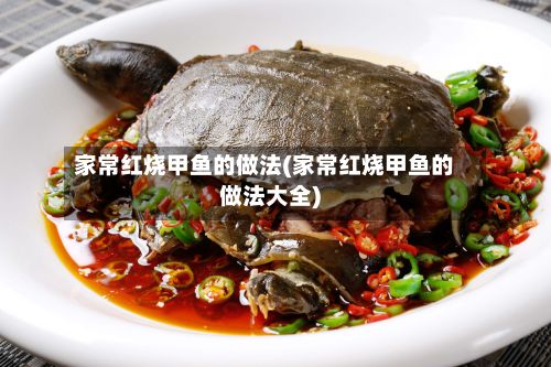 家常红烧甲鱼的做法(家常红烧甲鱼的做法大全)
