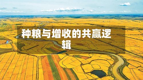 种粮与增收的共赢逻辑-第2张图片