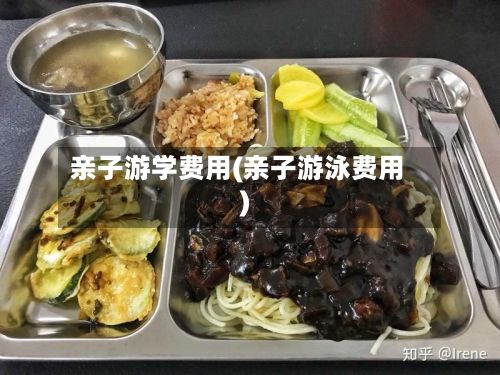 亲子游学费用(亲子游泳费用)