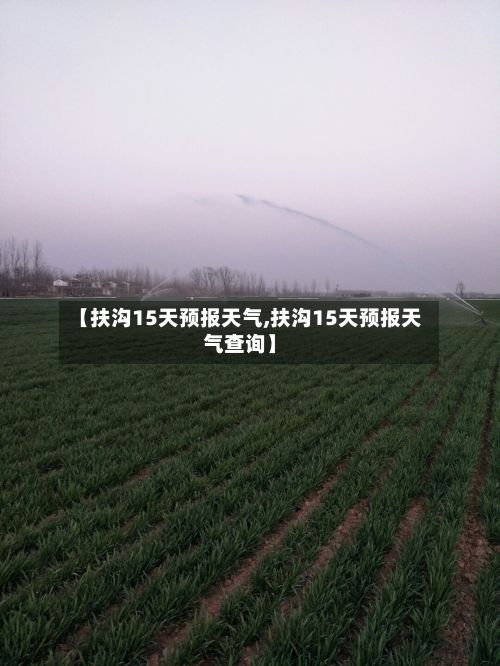 【扶沟15天预报天气,扶沟15天预报天气查询】