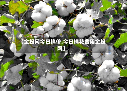 【金投网今日棉价,今日棉花费用金投网】-第2张图片