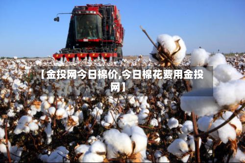【金投网今日棉价,今日棉花费用金投网】