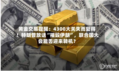 黄金交易提醒：4300大关失而复得！特朗普放话“摧毁伊朗”，联合国大会能否迎来转机？-第2张图片
