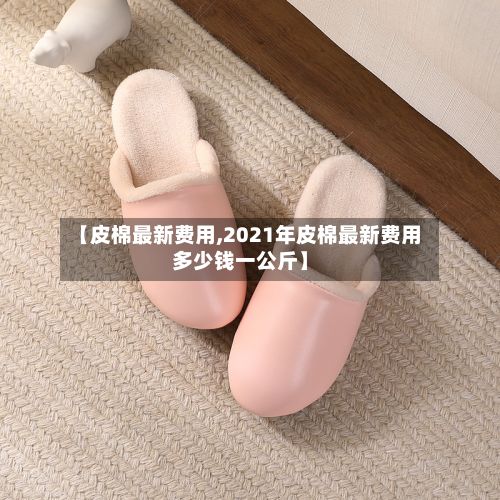 【皮棉最新费用,2021年皮棉最新费用多少钱一公斤】