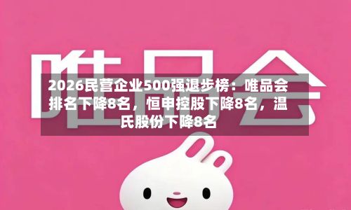 2026民营企业500强退步榜：唯品会排名下降8名	，恒申控股下降8名，温氏股份下降8名-第3张图片