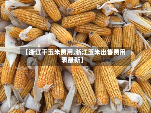 【浙江干玉米费用,浙江玉米出售费用表最新】-第2张图片