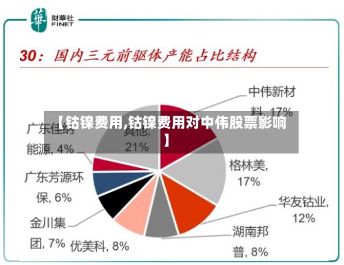 【钴镍费用,钴镍费用对中伟股票影响】