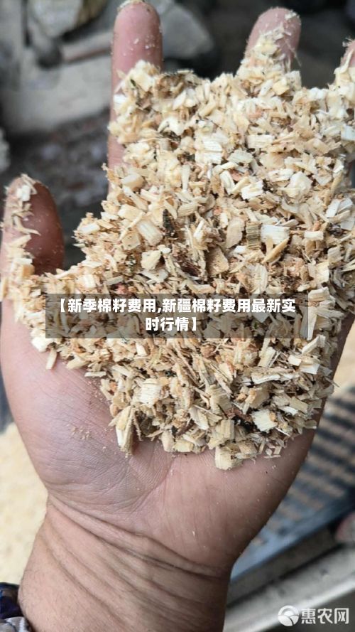 【新季棉籽费用,新疆棉籽费用最新实时行情】