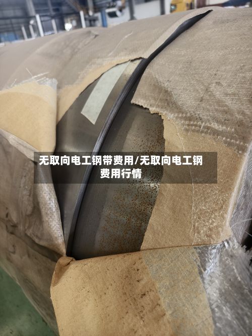 无取向电工钢带费用/无取向电工钢费用行情-第3张图片