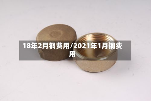 18年2月铜费用/2021年1月铜费用-第3张图片