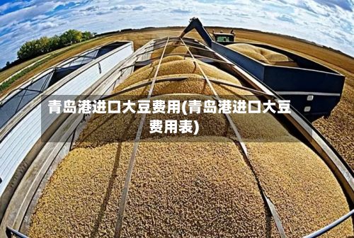青岛港进口大豆费用(青岛港进口大豆费用表)-第3张图片