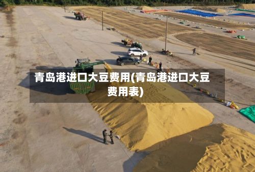 青岛港进口大豆费用(青岛港进口大豆费用表)
