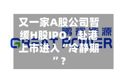 又一家A股公司暂缓H股IPO，赴港上市进入“冷静期”？-第3张图片