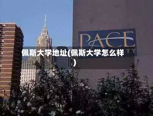 佩斯大学地址(佩斯大学怎么样)-第2张图片