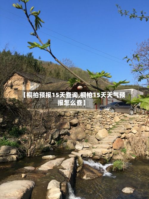 【桐柏预报15天查询,桐柏15天天气预报怎么查】