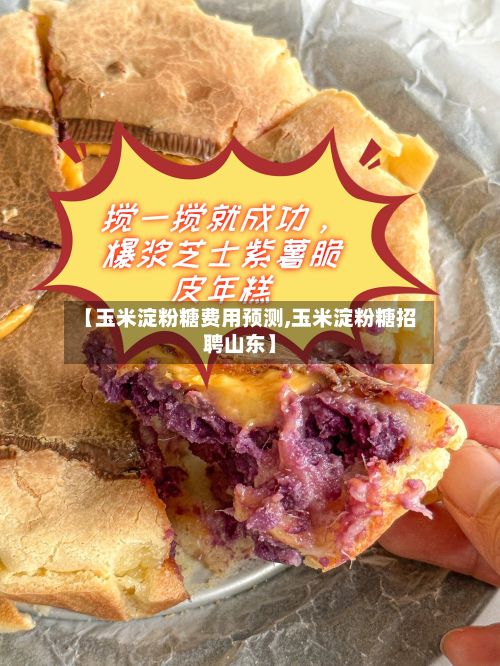 【玉米淀粉糖费用预测,玉米淀粉糖招聘山东】