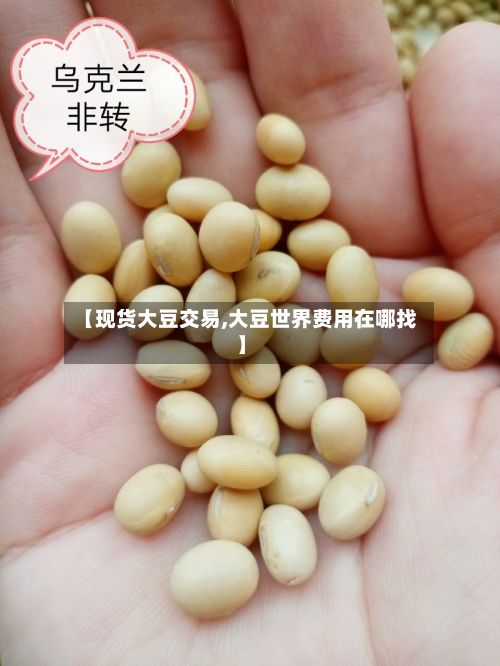 【现货大豆交易,大豆世界费用在哪找】-第2张图片