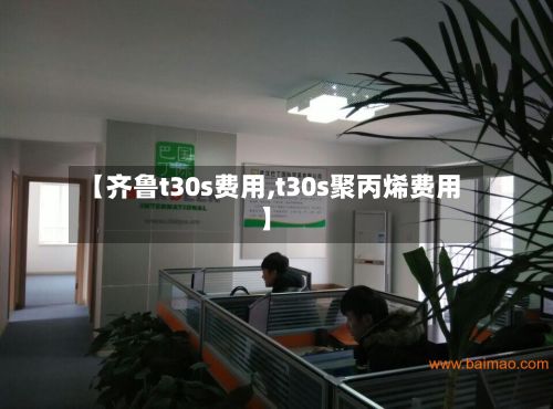 【齐鲁t30s费用,t30s聚丙烯费用】