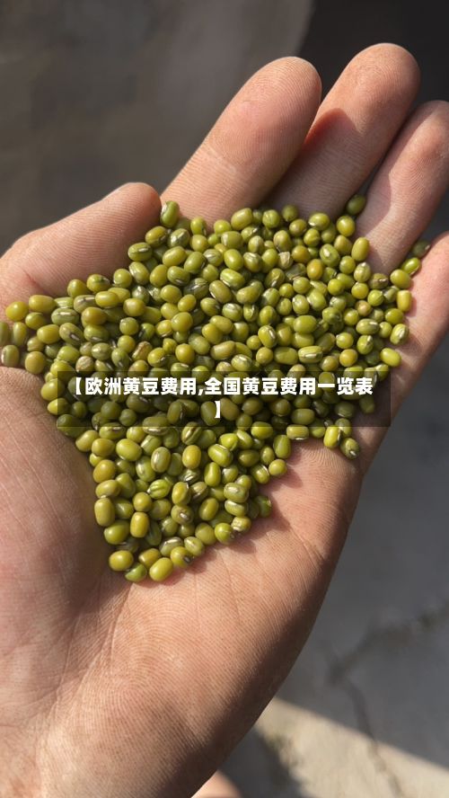【欧洲黄豆费用,全国黄豆费用一览表】