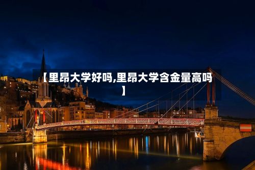 【里昂大学好吗,里昂大学含金量高吗】-第2张图片