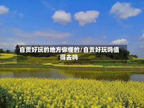 自贡好玩的地方你懂的/自贡好玩吗值得去吗