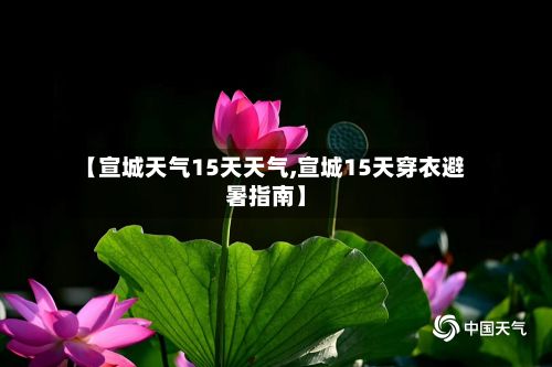 【宣城天气15天天气,宣城15天穿衣避暑指南】-第3张图片