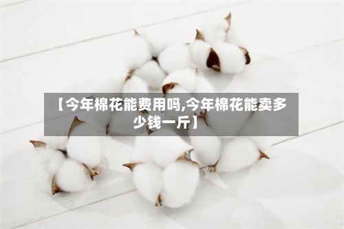 【今年棉花能费用吗,今年棉花能卖多少钱一斤】