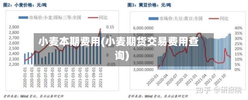 小麦本期费用(小麦期货交易费用查询)