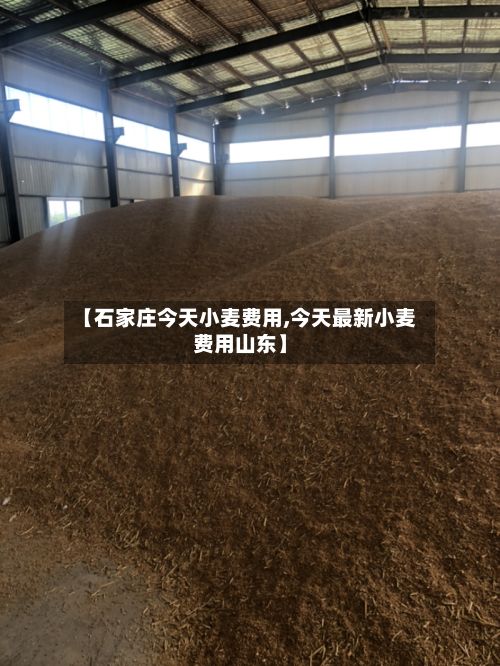 【石家庄今天小麦费用,今天最新小麦费用山东】-第3张图片