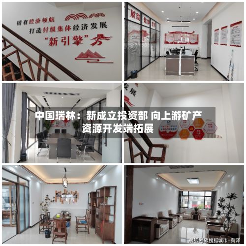 中国瑞林:新成立投资部 向上游矿产资源开发端拓展