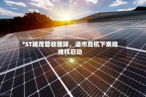 *ST瑞茂营收骤降，退市危机下索赔维权启动-第2张图片