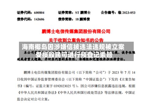 海南椰岛因涉嫌信披违法违规被立案 受损股民可进行预登记索赔-第2张图片