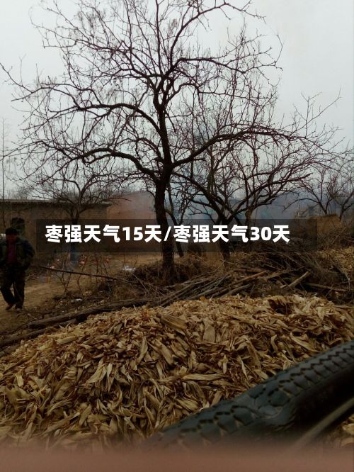 枣强天气15天/枣强天气30天-第2张图片