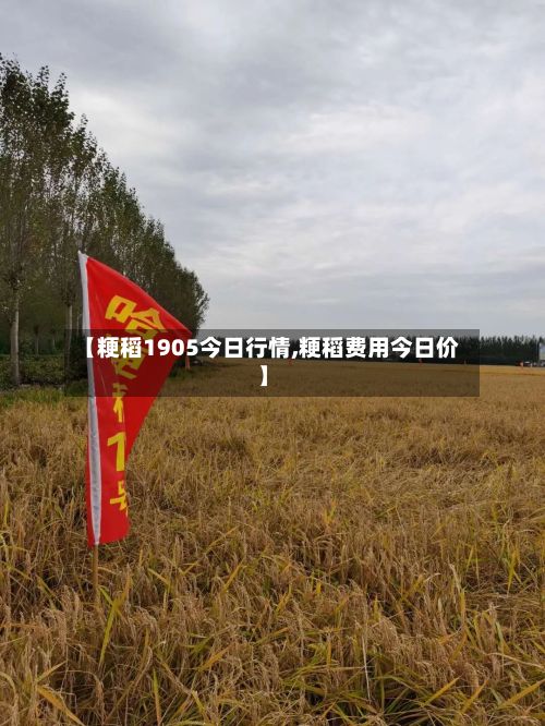 【粳稻1905今日行情,粳稻费用今日价】-第3张图片