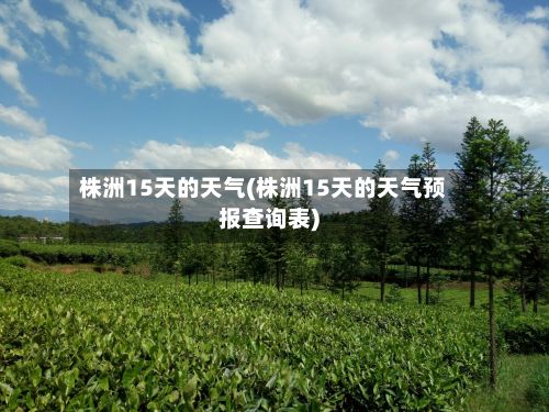 株洲15天的天气(株洲15天的天气预报查询表)