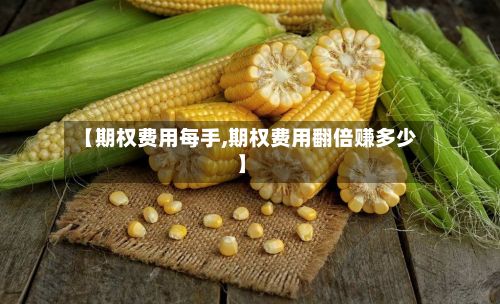 【期权费用每手,期权费用翻倍赚多少】-第3张图片