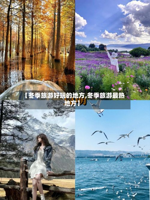 【冬季旅游好玩的地方,冬季旅游最热地方】-第3张图片