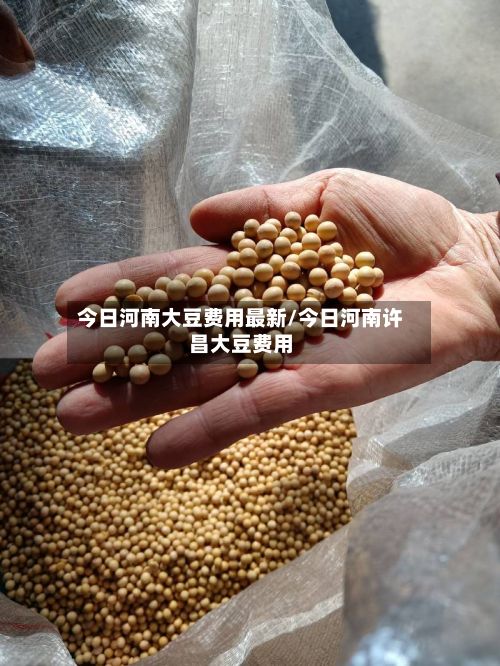 今日河南大豆费用最新/今日河南许昌大豆费用-第2张图片