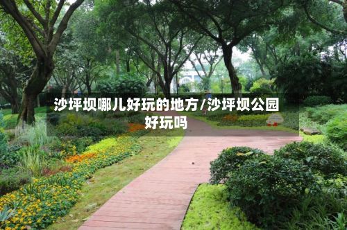 沙坪坝哪儿好玩的地方/沙坪坝公园好玩吗