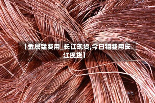 【金属锰费用_长江现货,今日钼费用长江现货】-第2张图片