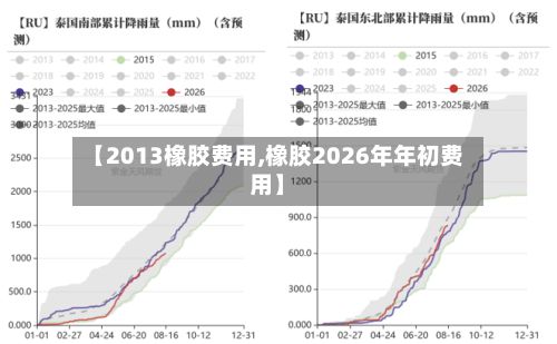 【2013橡胶费用,橡胶2026年年初费用】