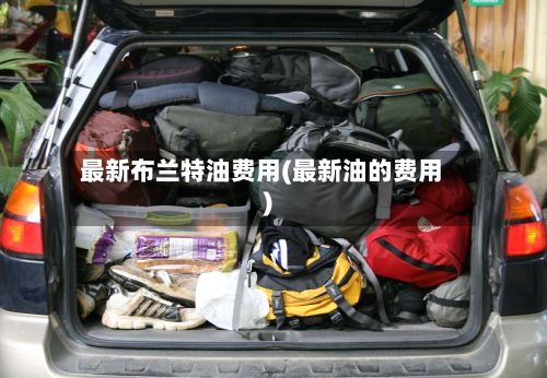 最新布兰特油费用(最新油的费用)