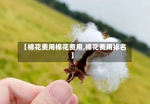 【棉花费用棉花费用,棉花费用排名】-第2张图片